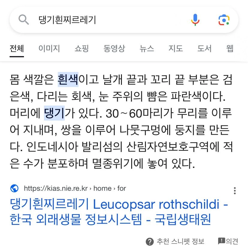 [동물] 포인핸드에 올라온 입양불가 동물