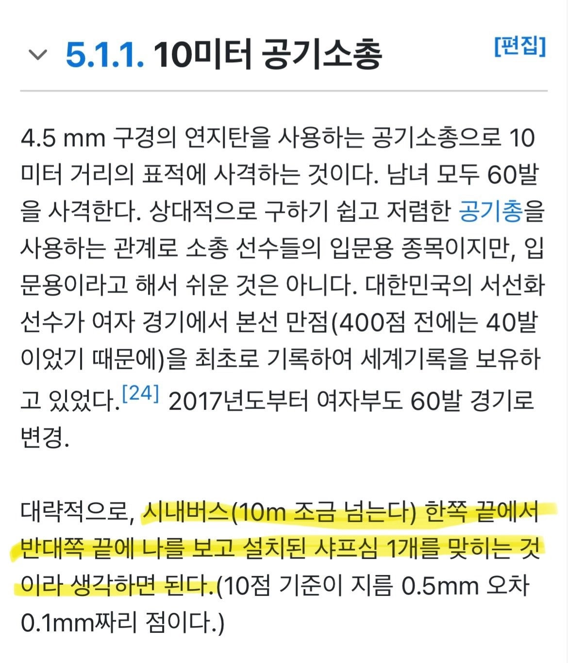 반효진 공기소총 과녁 크기 체감 ㅎ