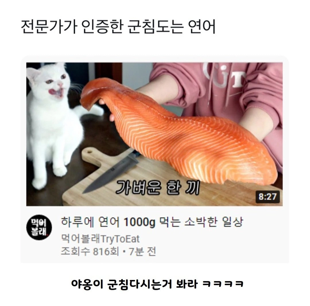 전문가 인증~~ㅋ