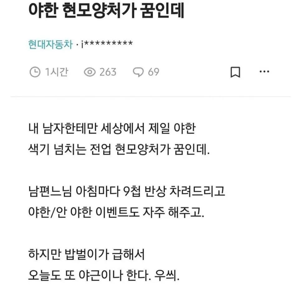 [유머] 야한 현모양처가 꿈인 현대차 직원