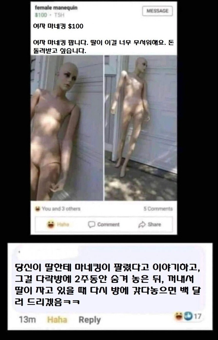 여자 마네킹 100달러에 팝니다. ㄷㄷㄷㄷ