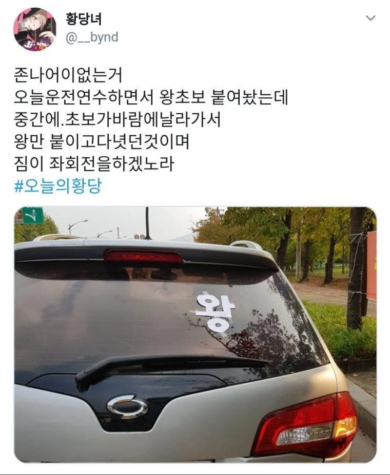 왕초보 스티커 붙이고 운전연수를 받고 있었는데