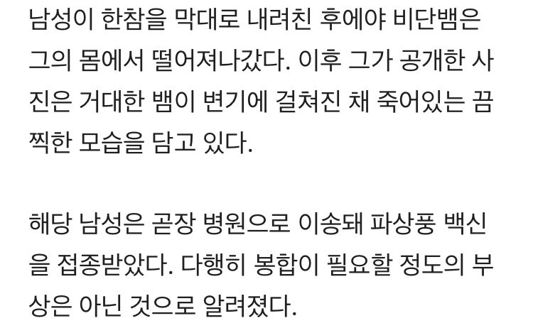 똘똘이를 위해 비단뱀과 싸운 남자