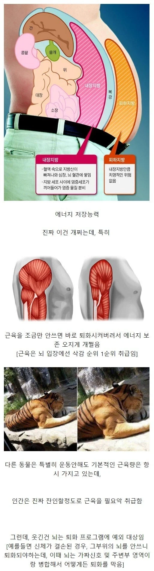 인간이 보유한 S급 능력치