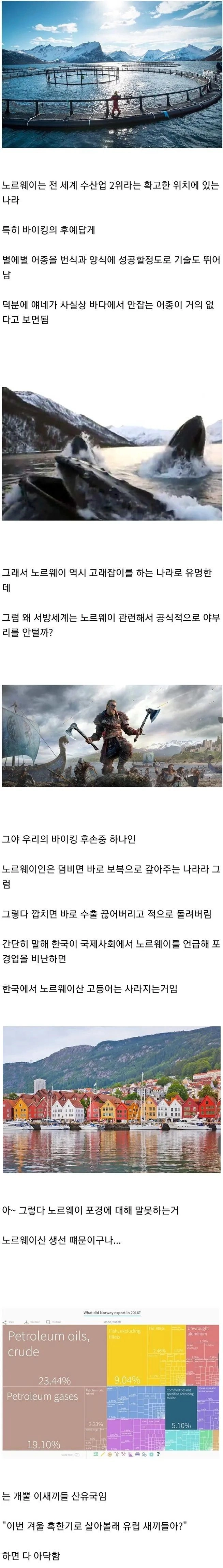 서방국가들이 고래잡이하는 노르웨이한테 별말 안하는 이유.