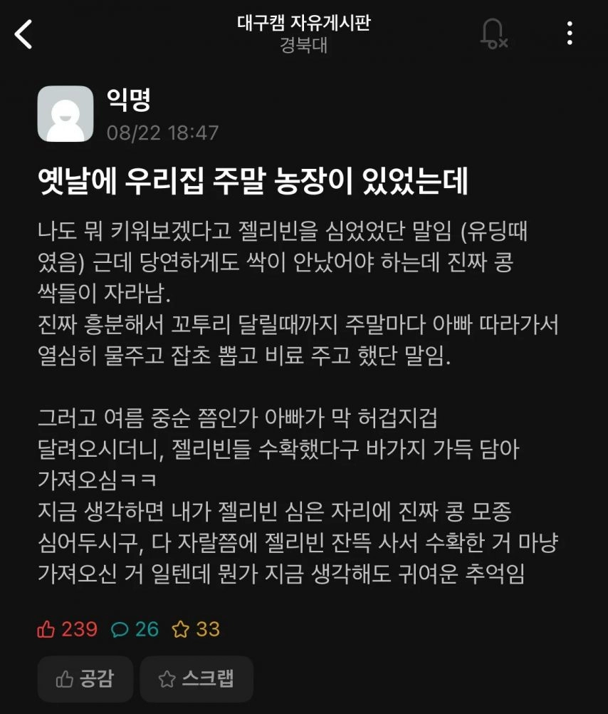 ] 실시간 반응 뜨거운 경북대 에타글