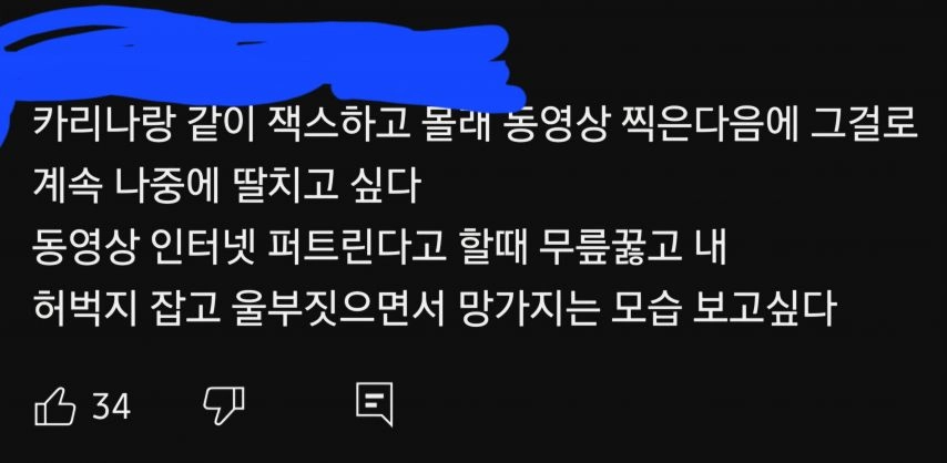 [기타] 카리나 댓글 미쳤네