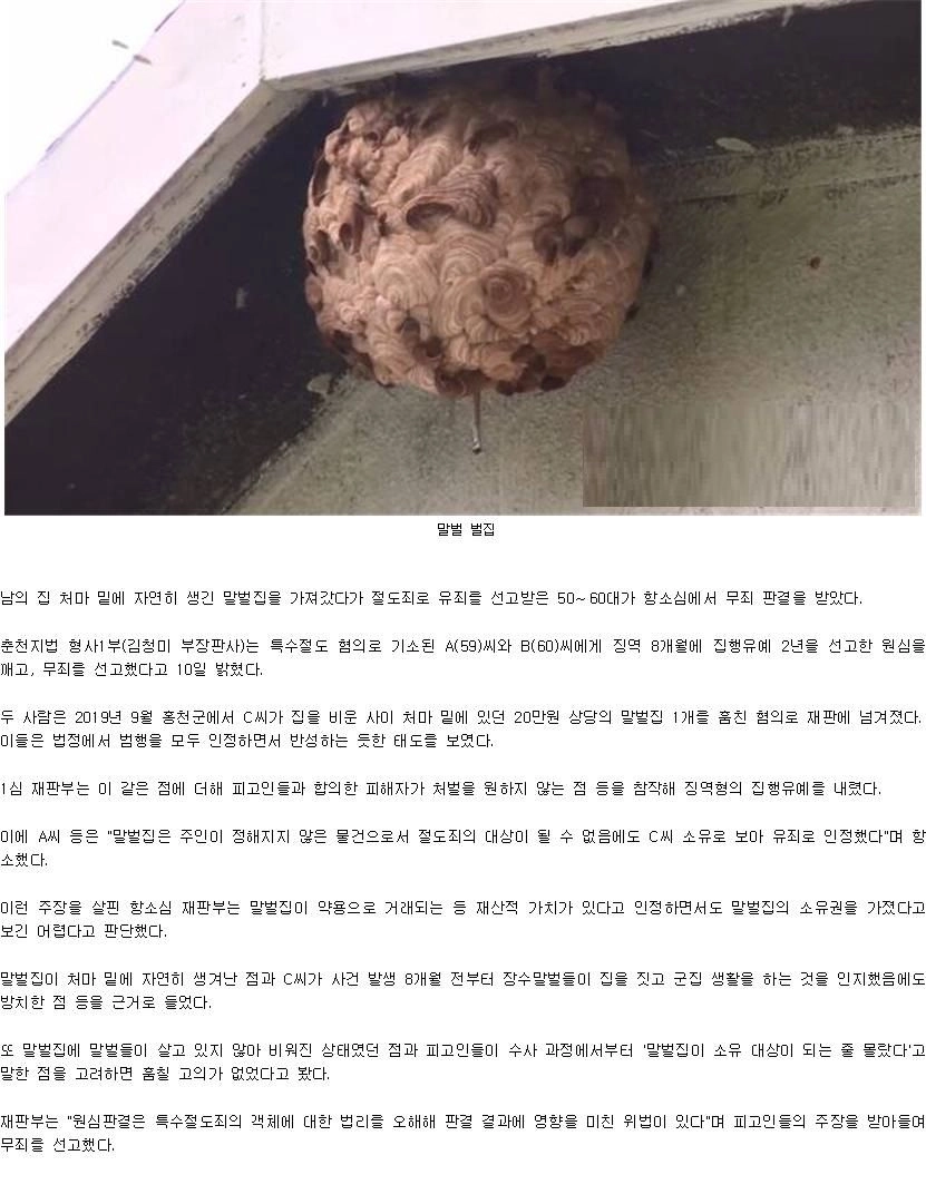 말벌집 가져갔다가 절도범 될뻔한 사연.