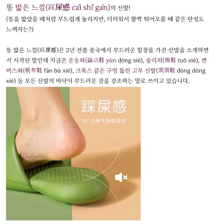 '똥에 걷는 느낌' 중국 신발 근황