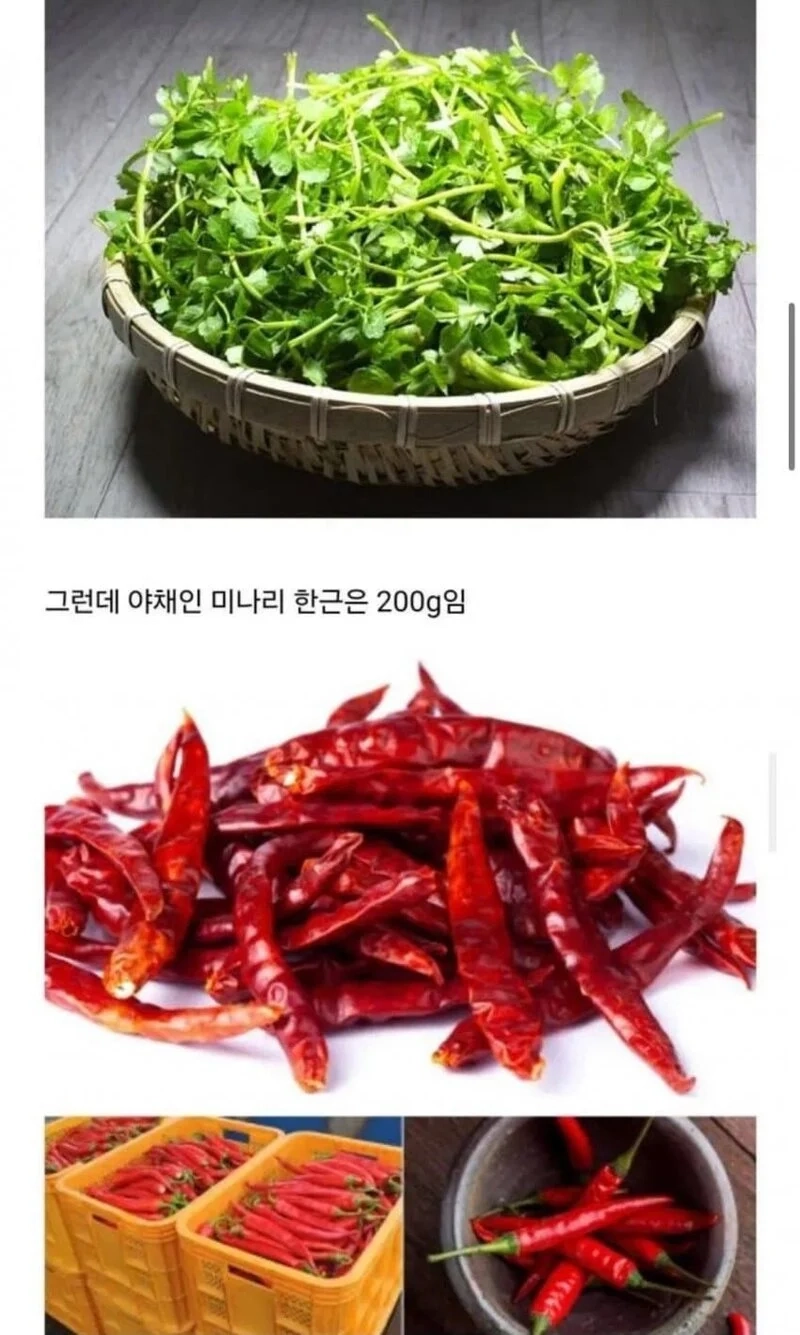 한국에서 제일 골때리는 단위