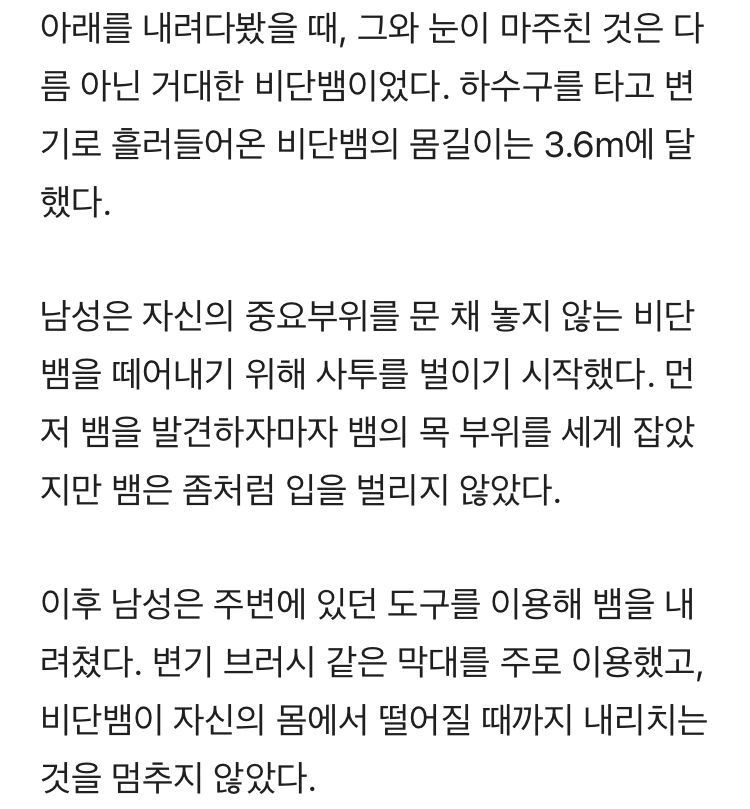 똘똘이를 위해 비단뱀과 싸운 남자