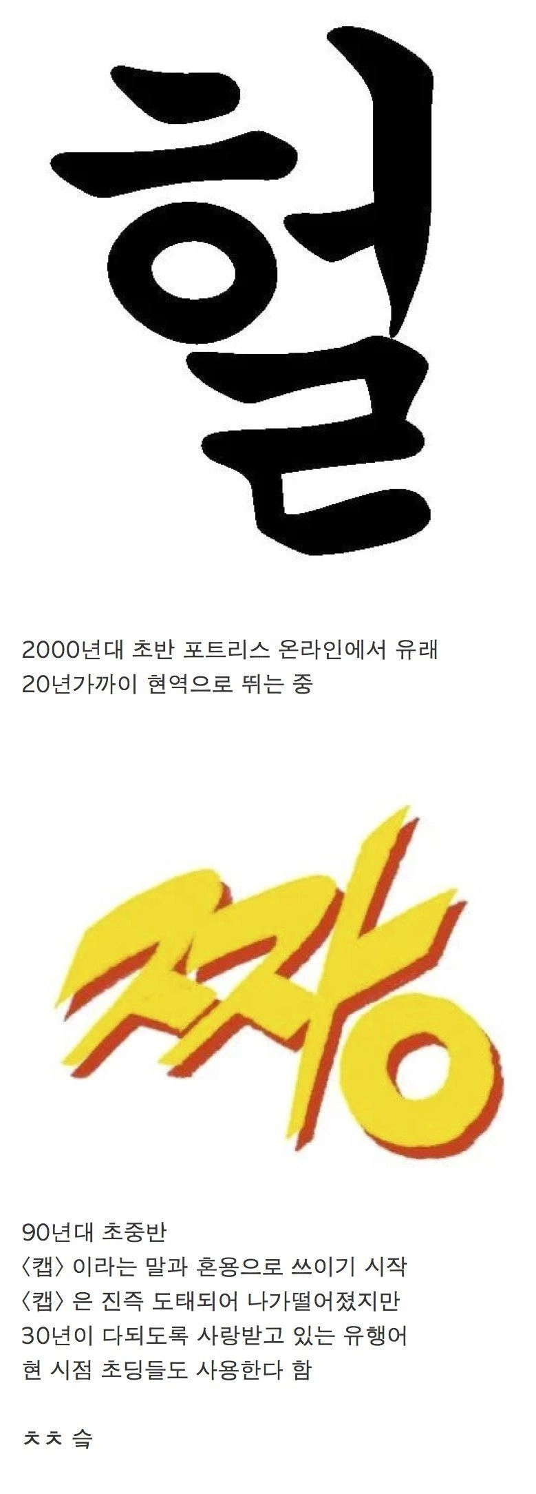 진짜 오랫동안 살아남은 대한민국 유행어