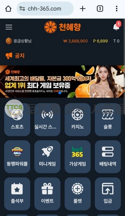 천혜향 밑천 다 드러난 먹튀사이트 아이피 드립치네요.